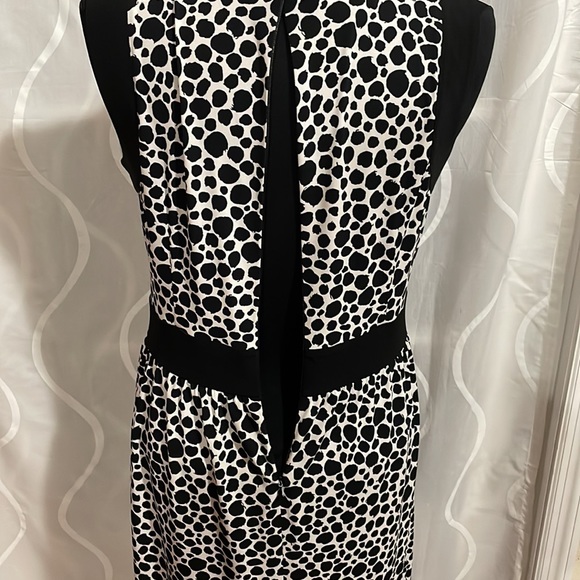 Talbots Dress, Size 6 - Picture 4 of 7